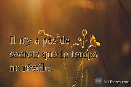 Il n'y a pas de secrets que le temps ne révèle.
