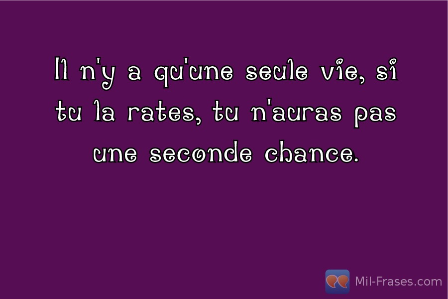 An image with the following quote Il n'y a qu'une seule vie, si tu la rates, tu n'auras pas une seconde chance.