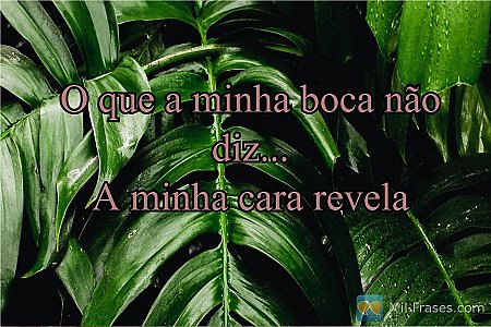 O Que a Boca Não Diz... A Cara Revela: Reflexões e Humor