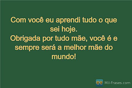 Com você eu aprendi tudo o que sei hoje.
Obrigada por tudo mãe, você é e sempre...