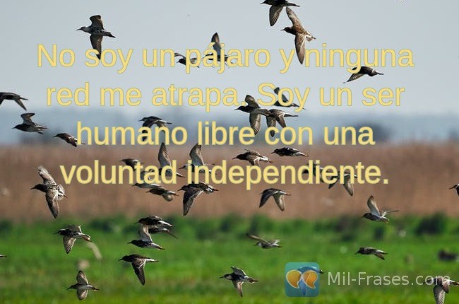 An image with the following quote No soy un pájaro y ninguna red me atrapa. Soy un ser humano libre con una voluntad independiente.