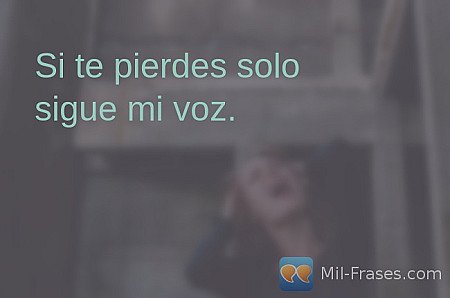 Si te pierdes solo sigue mi voz. 