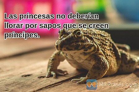 Las princesas no deberían llorar por sapos que se creen príncipes.