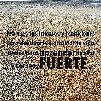 No uses tus fracassos para debilitarte y arruinar tu vida. Usalos para aprender...