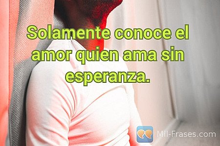 Solamente conoce el amor quien ama sin esperanza.