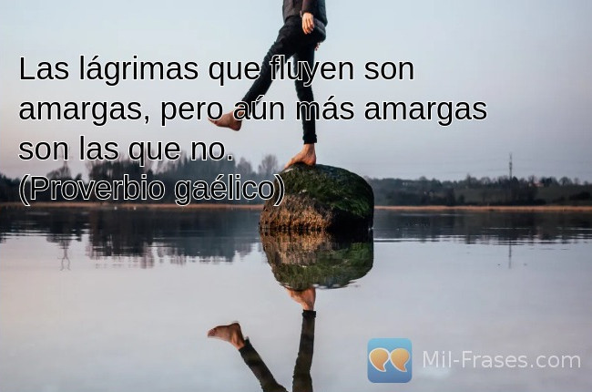 An image with the following quote Las lágrimas que fluyen son amargas, pero aún más amargas son las que no.
(Proverbio gaélico)