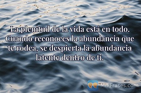 La plenitud de la vida está en todo. Cuando reconoces la abundancia que te rodea...