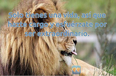 Solo tienes una vida, así que hazte cargo y esfuérzate por ser extraordinario.