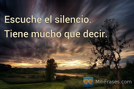Escuche el silencio.

Tiene mucho que decir.