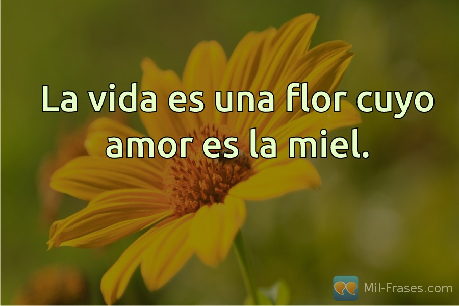 An image with the following quote La vida es una flor cuyo amor es la miel.