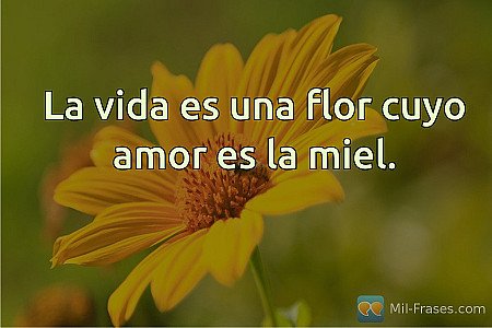 La vida es una flor cuyo amor es la miel.