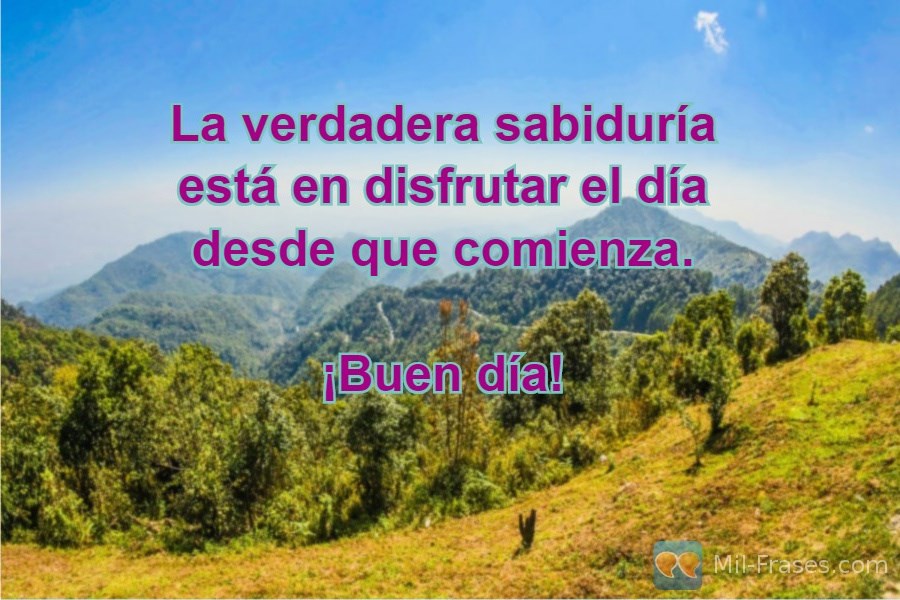 An image with the following quote La verdadera sabiduría está en disfrutar el día desde que comienza.

¡Buen día!