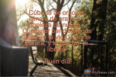 Cúbrete de oración, llénate de gratitud y empieza de nuevo ...
Cualquier bendici...