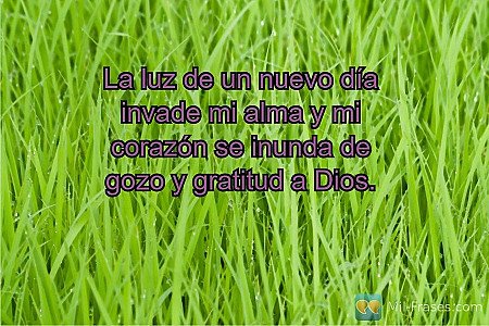 La luz de un nuevo día invade mi alma y mi corazón se inunda de gozo y gratitud...