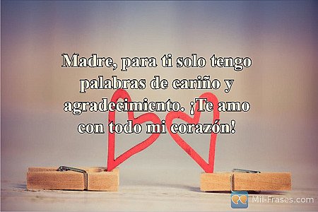 Madre, para ti solo tengo palabras de cariño y agradecimiento. ¡Te amo con todo...