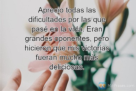 Aprecio todas las dificultades por las que pasé en la vida. Eran grandes oponent...