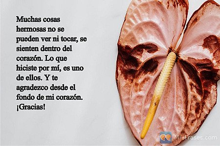 Muchas cosas hermosas no se pueden ver ni tocar, se sienten dentro del corazón....