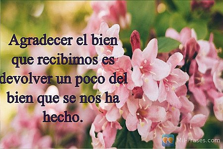 Agradecer el bien que recibimos es devolver un poco del bien que se nos ha hecho...