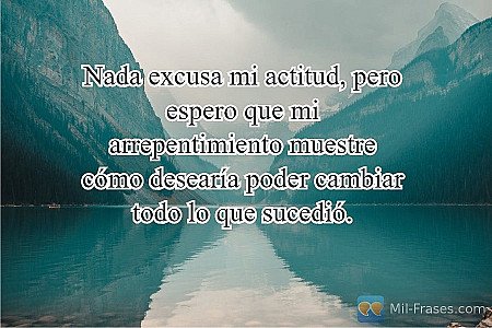Nada excusa mi actitud, pero espero que mi arrepentimiento muestre cómo desearía...