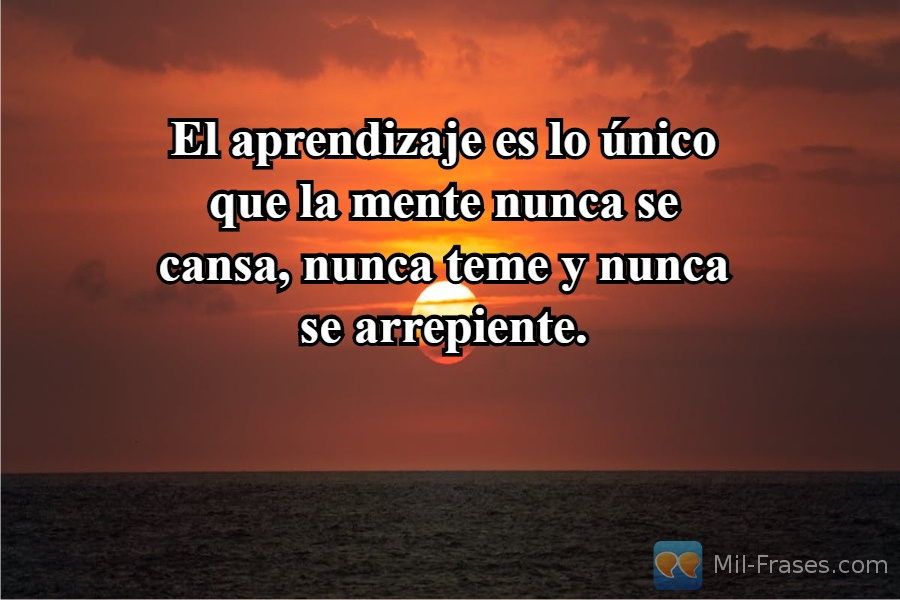 An image with the following quote El aprendizaje es lo único que la mente nunca se cansa, nunca teme y nunca se arrepiente.