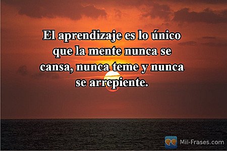 El aprendizaje es lo único que la mente nunca se cansa, nunca teme y nunca se ar...