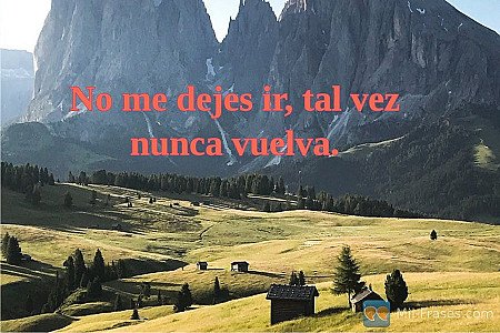 No me dejes ir, tal vez nunca vuelva.