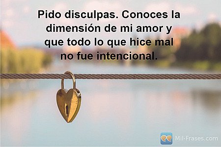 Pido disculpas. Conoces la dimensión de mi amor y que todo lo que hice mal no fu...