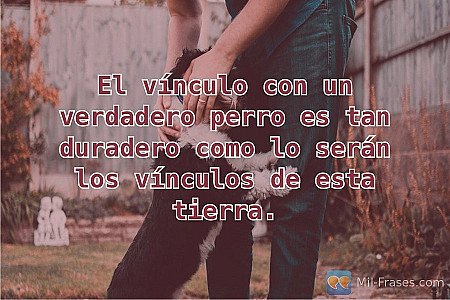 El vínculo con un verdadero perro es tan duradero como lo serán los vínculos de...