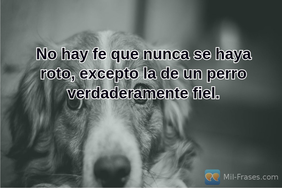 An image with the following quote No hay fe que nunca se haya roto, excepto la de un perro verdaderamente fiel.