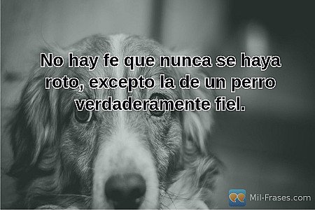 No hay fe que nunca se haya roto, excepto la de un perro verdaderamente fiel.