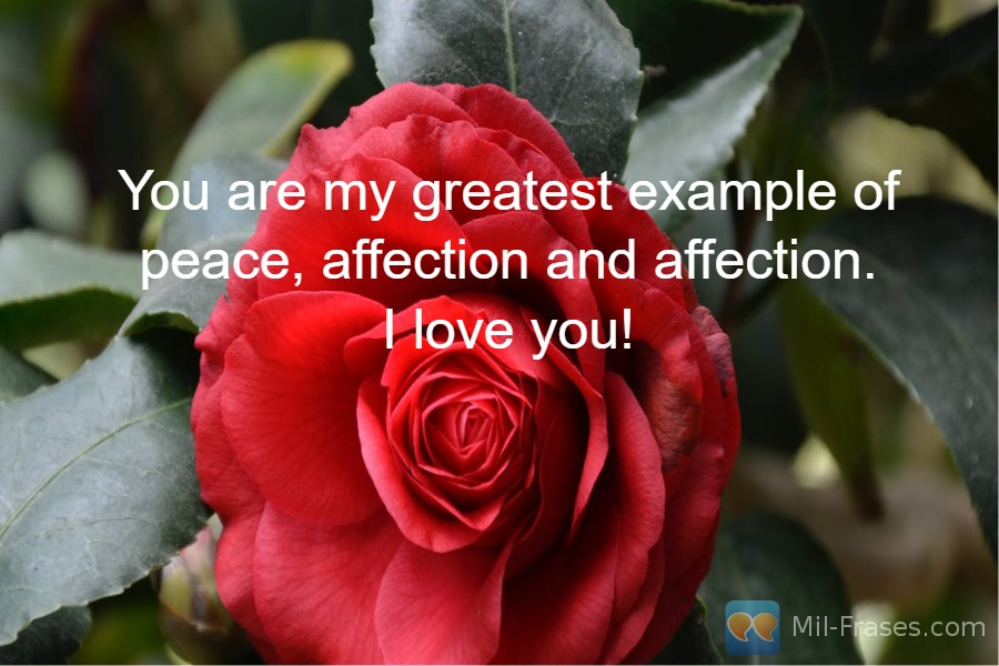 Uma imagem com a seguinte frase You are my greatest example of peace, affection and affection.
I love you!