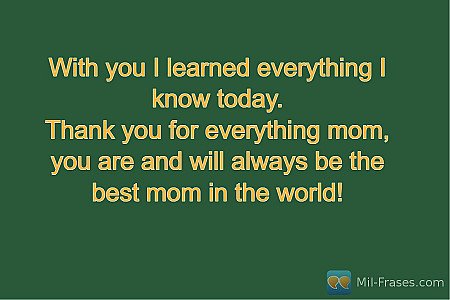With you I learned everything I know today.
Thank you for everything mom, you ar...