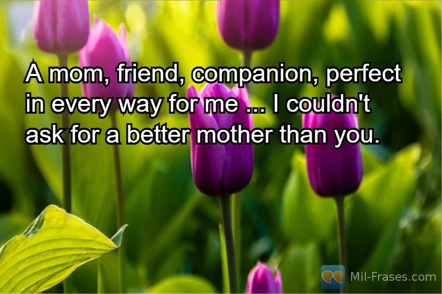An image with the following quote A mom, friend, companion, perfect in every way for me ... I couldn't ask for a better mother than you.