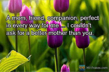 A mom, friend, companion, perfect in every way for me ... I couldn't ask for a b...