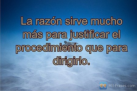 La razón sirve mucho más para justificar el procedimiento que para dirigirlo.