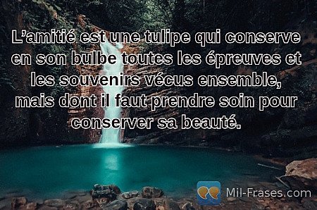 L’amitié est une tulipe qui conserve en son bulbe toutes les épreuves et les sou...