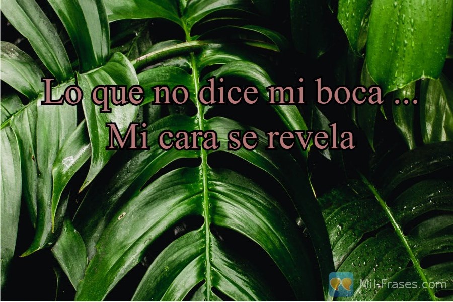 An image with the following quote Lo que no dice mi boca ...
Mi cara se revela