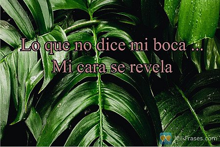 Lo que no dice mi boca ...
Mi cara se revela