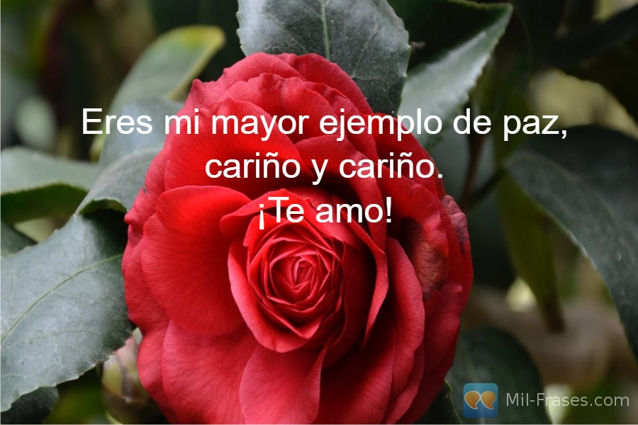 An image with the following quote Eres mi mayor ejemplo de paz, cariño y cariño.
¡Te amo!