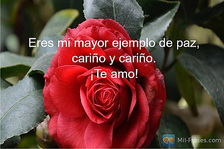 Eres mi mayor ejemplo de paz, cariño y cariño.
¡Te amo!
