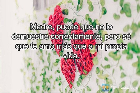 Madre, puede que no lo demuestre correctamente, pero sé que te amo más que a mi...