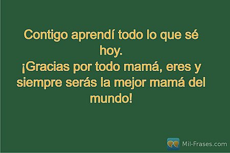 Contigo aprendí todo lo que sé hoy.
¡Gracias por todo mamá, eres y siempre serás...