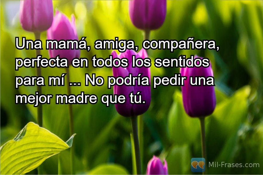 An image with the following quote Una mamá, amiga, compañera, perfecta en todos los sentidos para mí ... No podría pedir una mejor madre que tú.