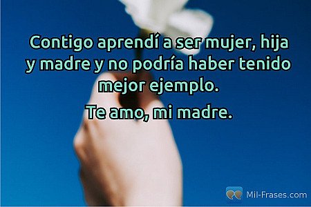 Contigo aprendí a ser mujer, hija y madre y no podría haber tenido mejor ejemplo...