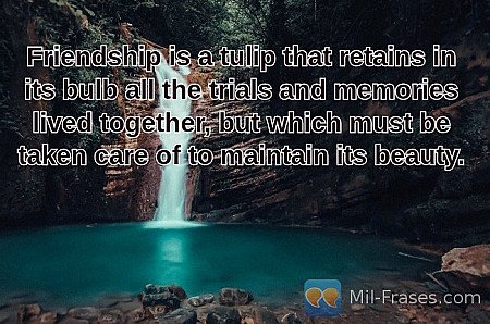 Friendship is a tulip that retains in its bulb all the trials and memories lived...