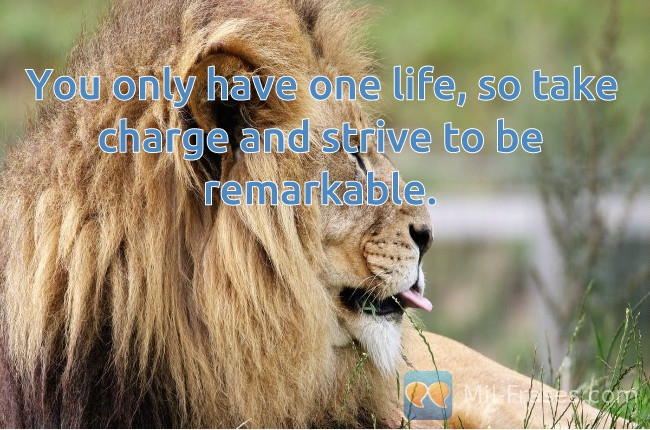 An image with the following quote You only have one life, so take charge and strive to be remarkable.