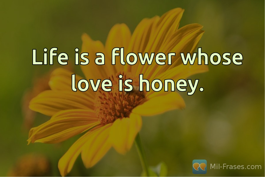 Une image avec la citation suivante Life is a flower whose love is honey.