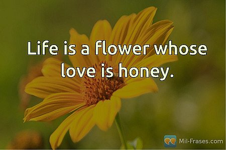 Life is a flower whose love is honey.