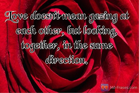 Love doesn’t mean gazing at each other, but looking, together, in the same direc...
