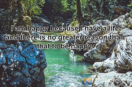 I am happy because I have a life and there is no greater reason than that to be...